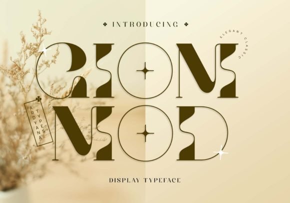 Giom Mod: A Serif Font for Strong Branding