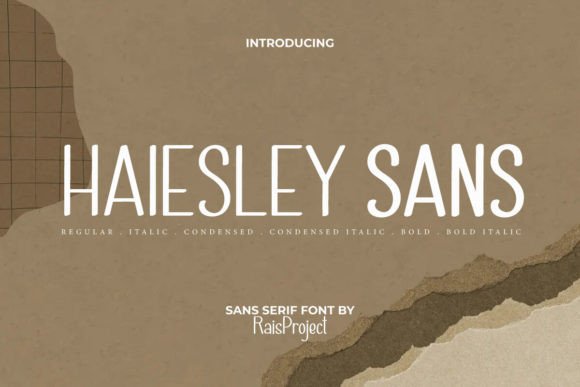 Haiesley Sans: A Modern Typeface for Campaigns